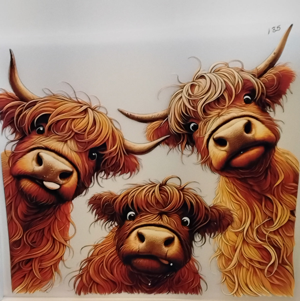3 highland Cow